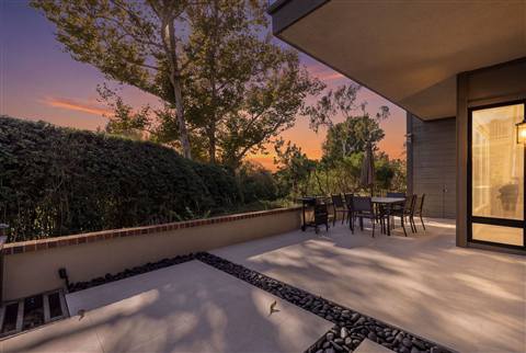 Garden at dusk